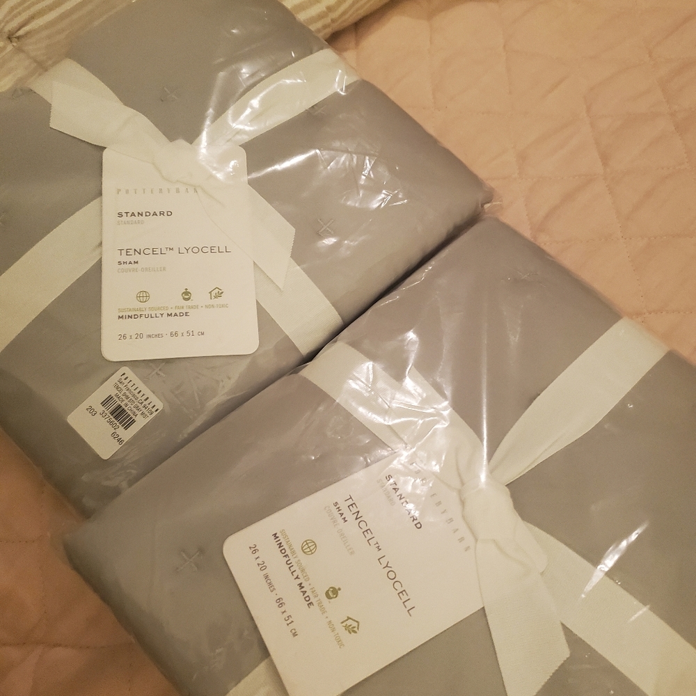 Pottery Barn Tencel Shams - Picture 3 of 5